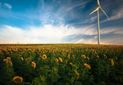 Le « renouvelable » : quand un mot mal défini risque de perturber le débat sur la transition écologique Le « renouvelable » : quand un mot mal défini risque de perturber le débat sur la transition écologique