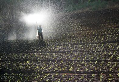 Le glyphosate ou lâhistoire de la molĂ©cule la plus controversĂ©e de la chimie Le glyphosate ou lâhistoire de la molĂ©cule la plus controversĂ©e de la chimie