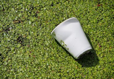 Plastiques biodégradables: et si ce n’était pas une bonne solution pour l’environnement ?